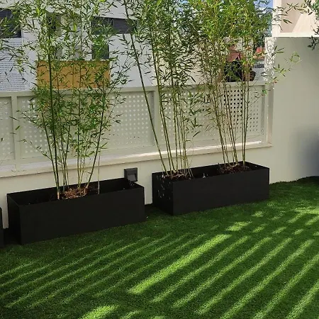 아파트 Borik 2024