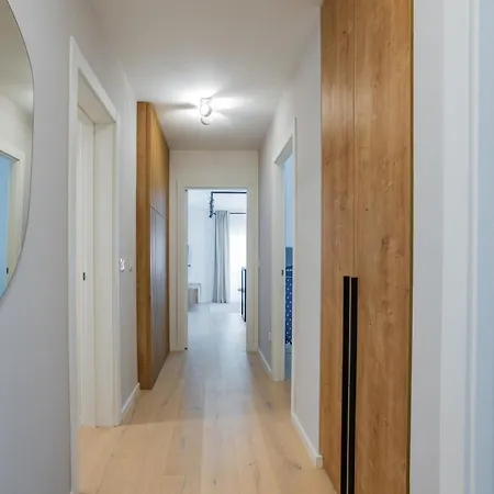 Borik 2024 زادار